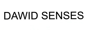 Dawid Senses